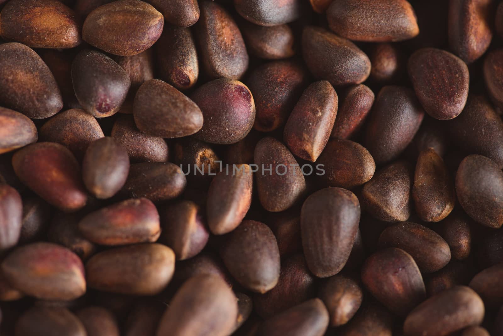 Pine nuts in shells of ciberian cedar as a background. Macro by skrotov