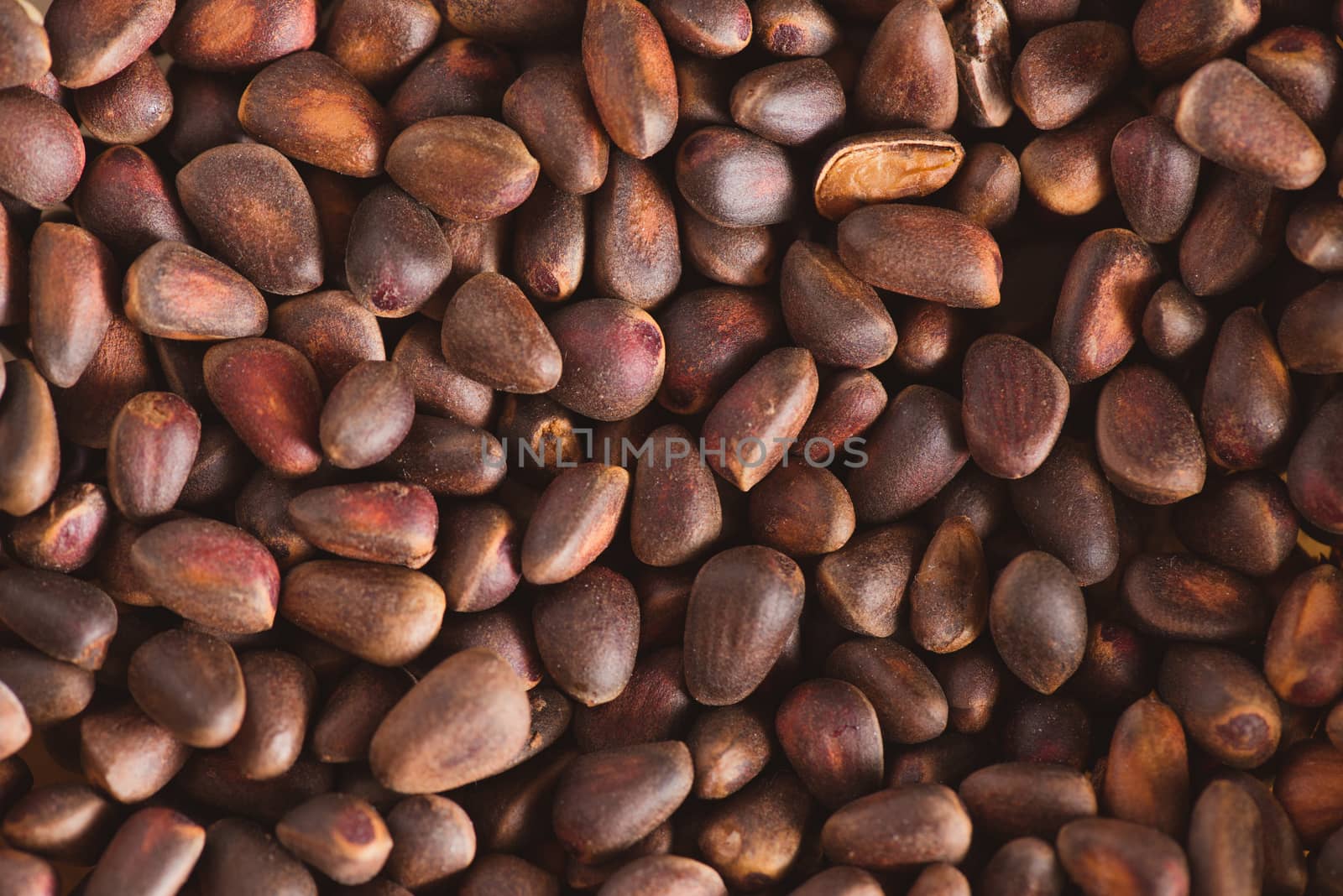 Pine nuts in shells of ciberian cedar as a background. Macro by skrotov