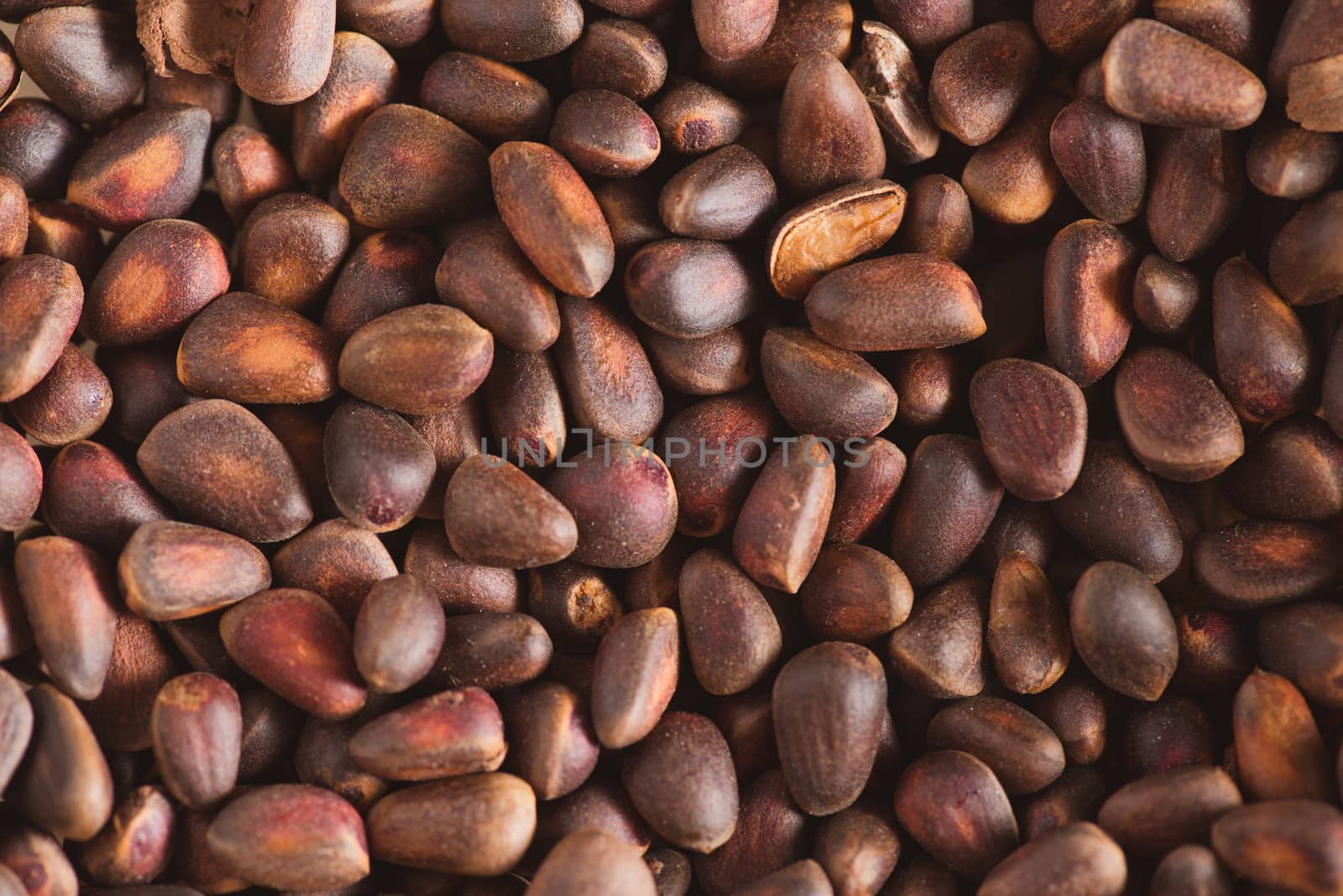 Pine nuts in shells of ciberian cedar as a background. Macro by skrotov