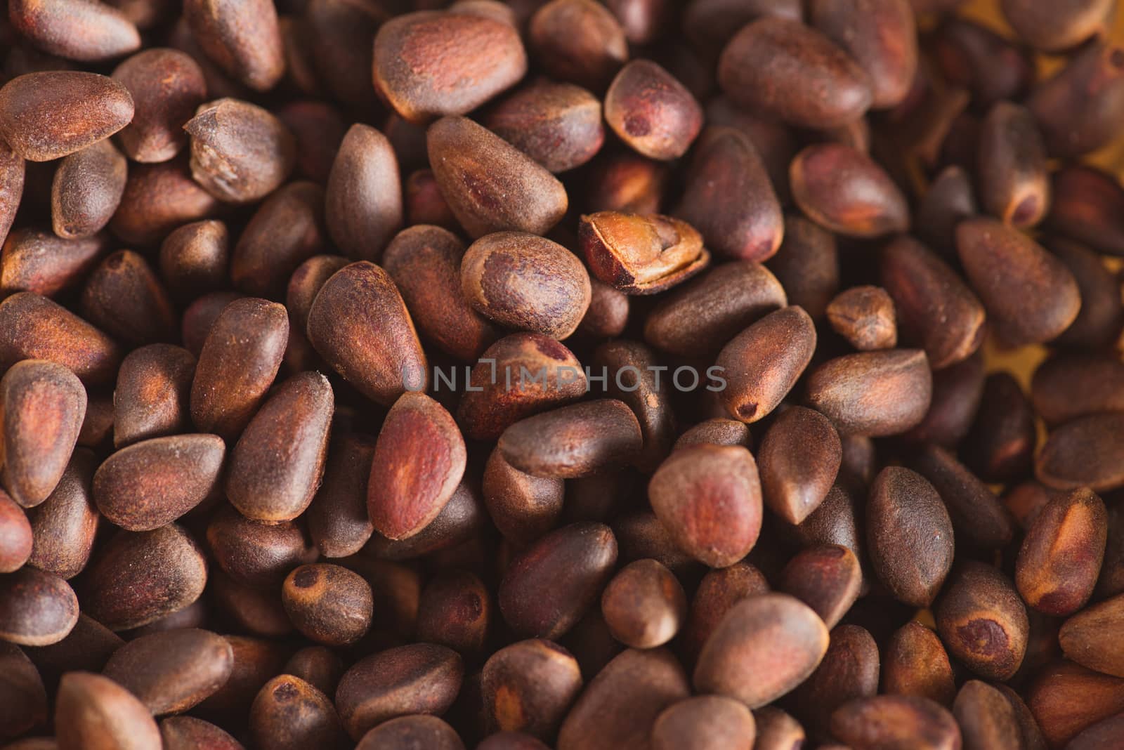 Pine nuts in shells of ciberian cedar as a background. Macro by skrotov