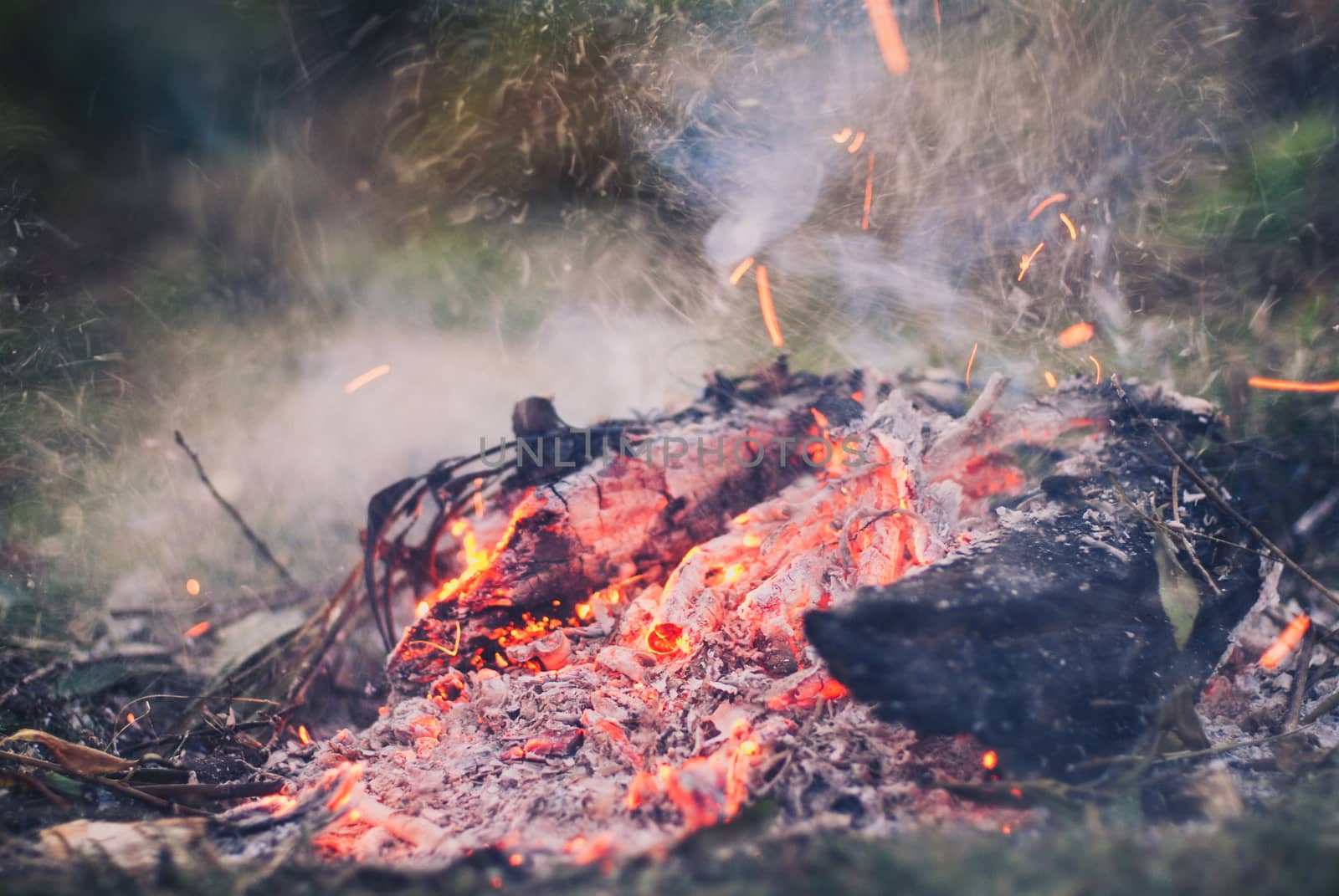 Evening campfire with available space for your text. by skrotov