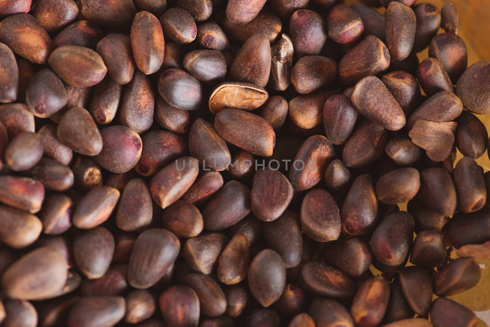 Pine nuts in shells of ciberian cedar as a background. Macro by skrotov