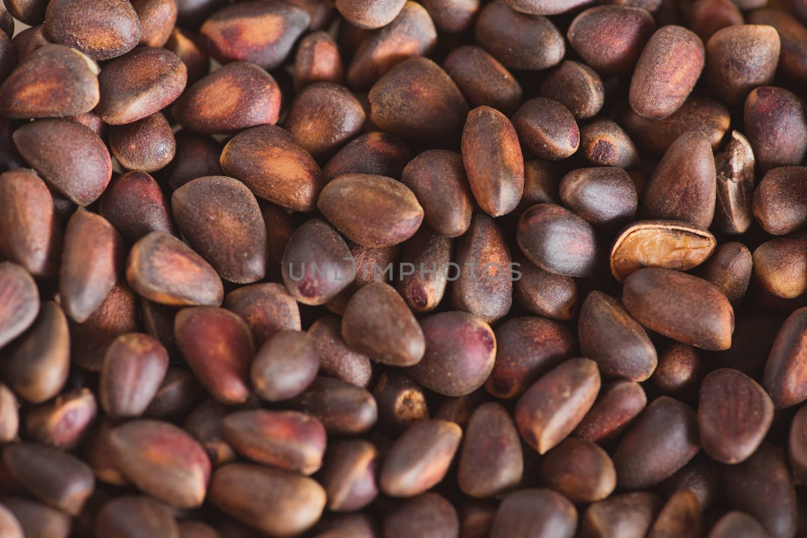 Pine nuts in shells of ciberian cedar as a background. Macro by skrotov