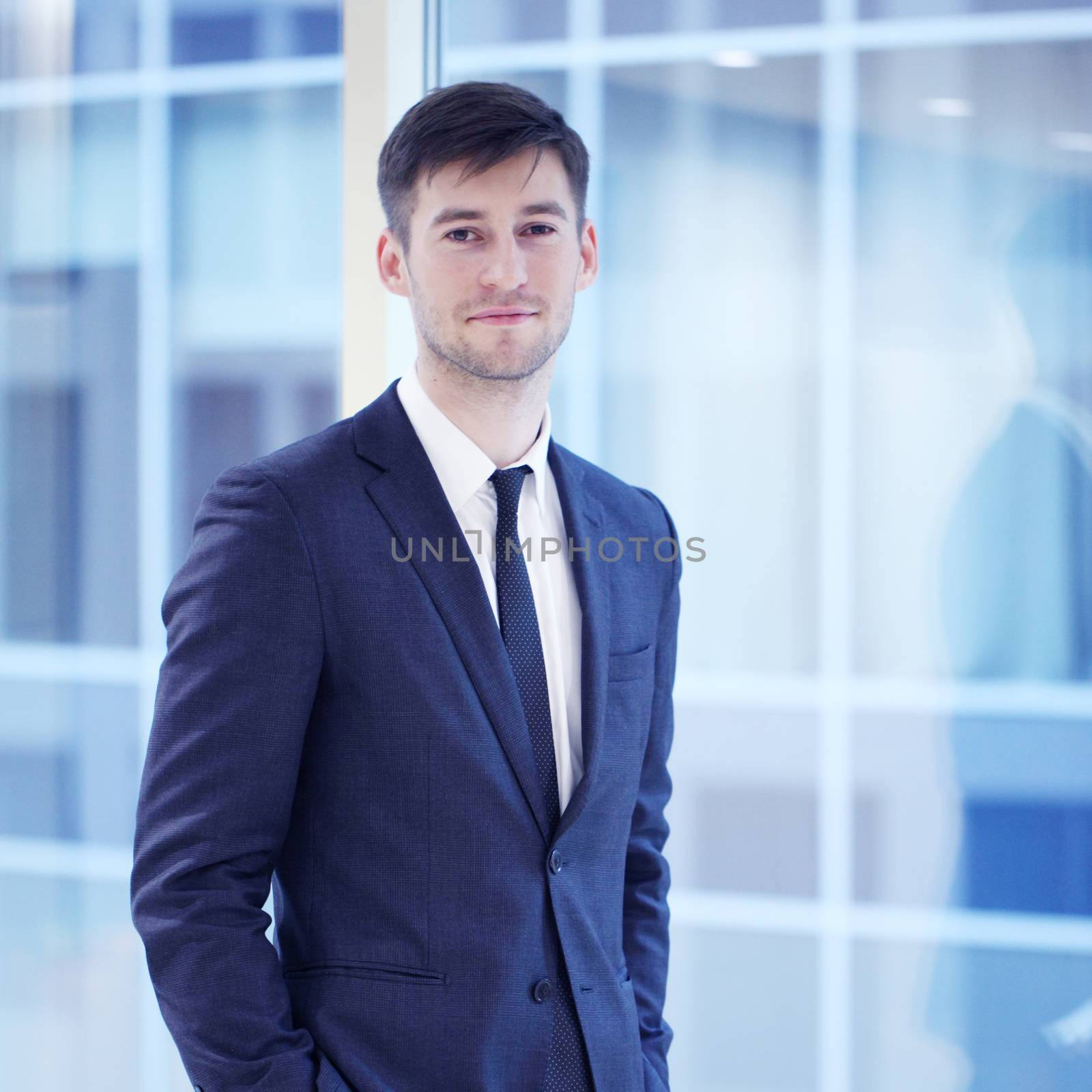 Portrait of a young handsome businessman indoors