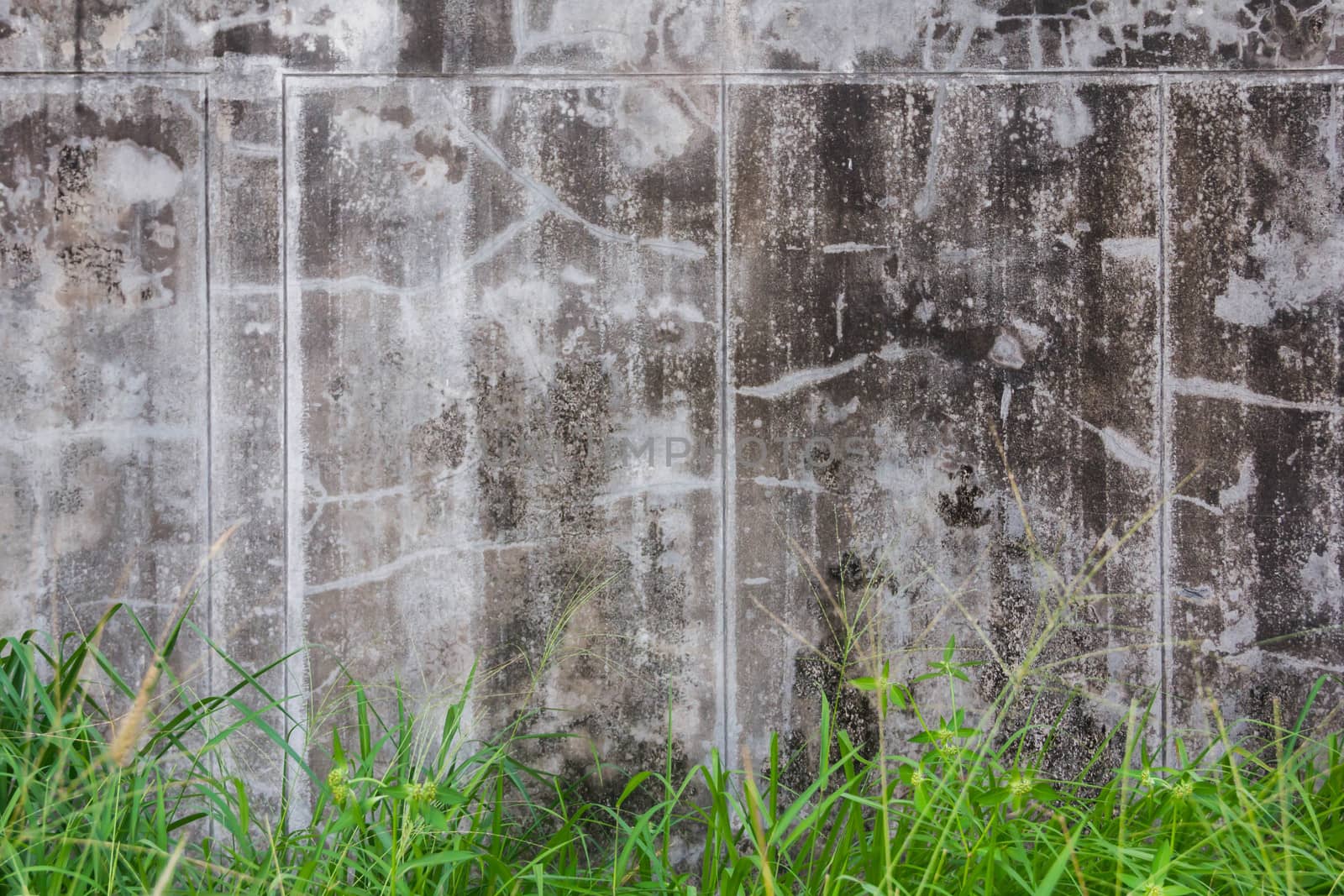 Old  plaster on the wall. Grunge concrete texture. Retro texture. Distress Texture.