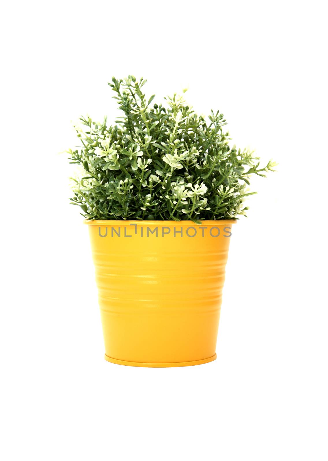 Nice synthetic plant in yellow pot on white background