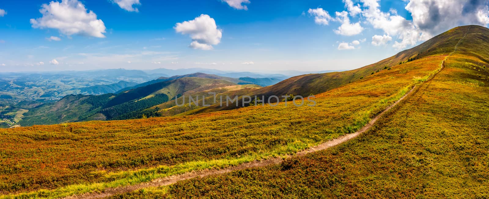 panoramic summer landscape. path through the meadow uphill to the mountain top