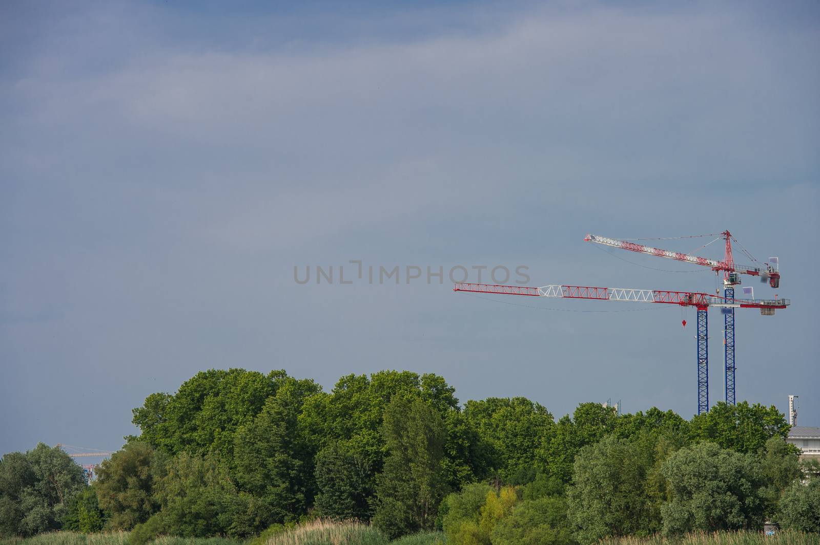 Construction crane towering above the trees, city and nature, cranes, Bordeaux, France