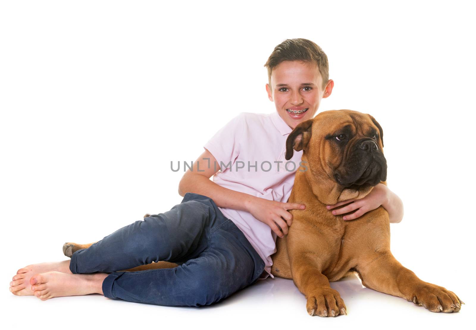 puppy bullmastiff and child in front of white background