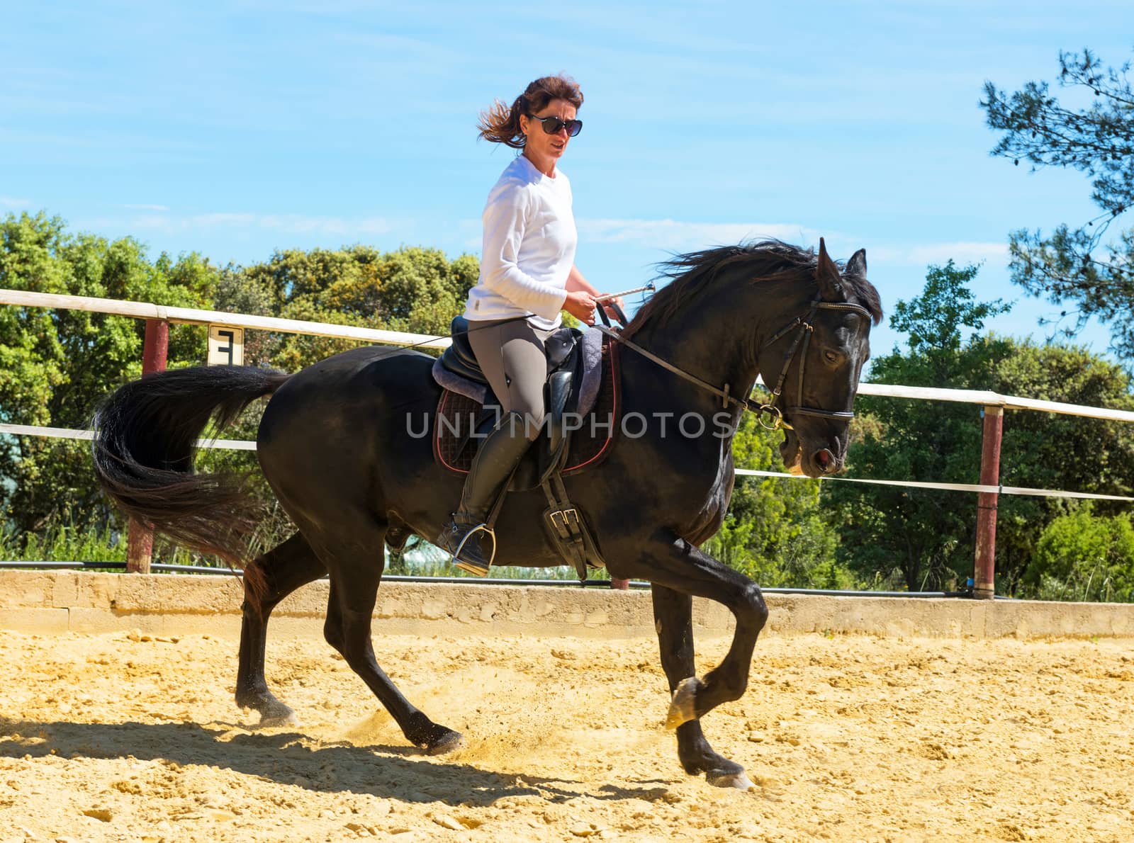 riding woman on stallion by cynoclub