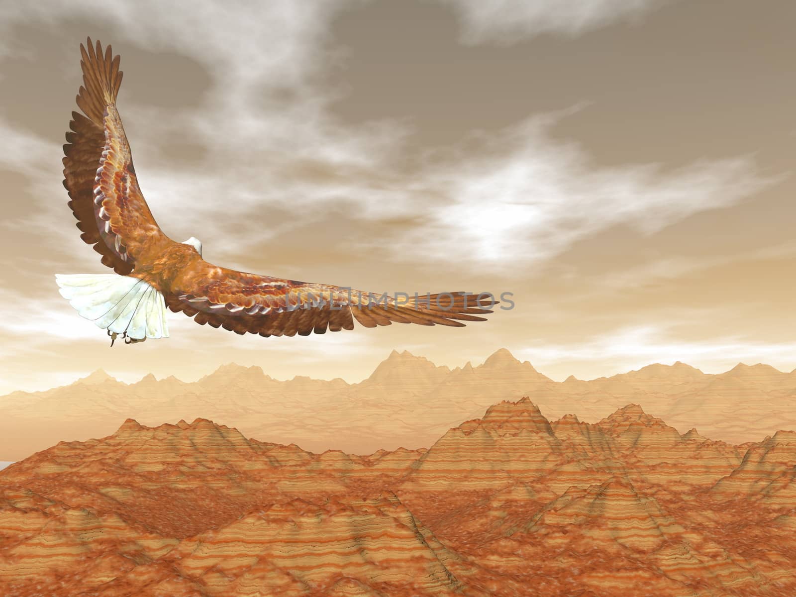 Bald eagle flying upon rocky mountains by sunset light - 3D render