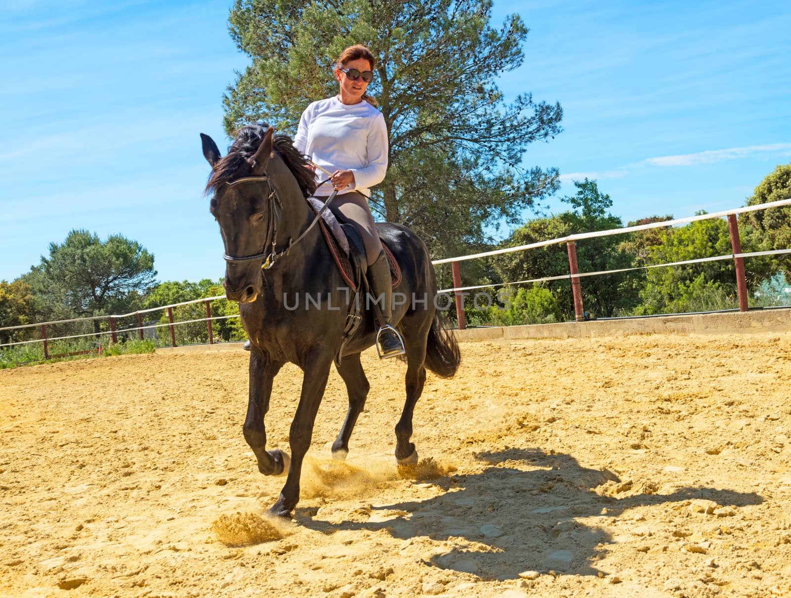 riding woman on a white stallion training in dressage