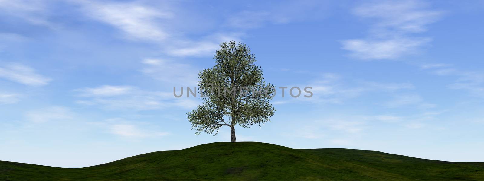 Single tree - 3D render by Elenaphotos21