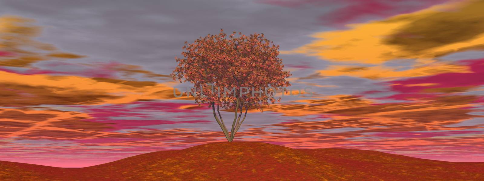 Single autumn tree by cloudy sunset - 3D render