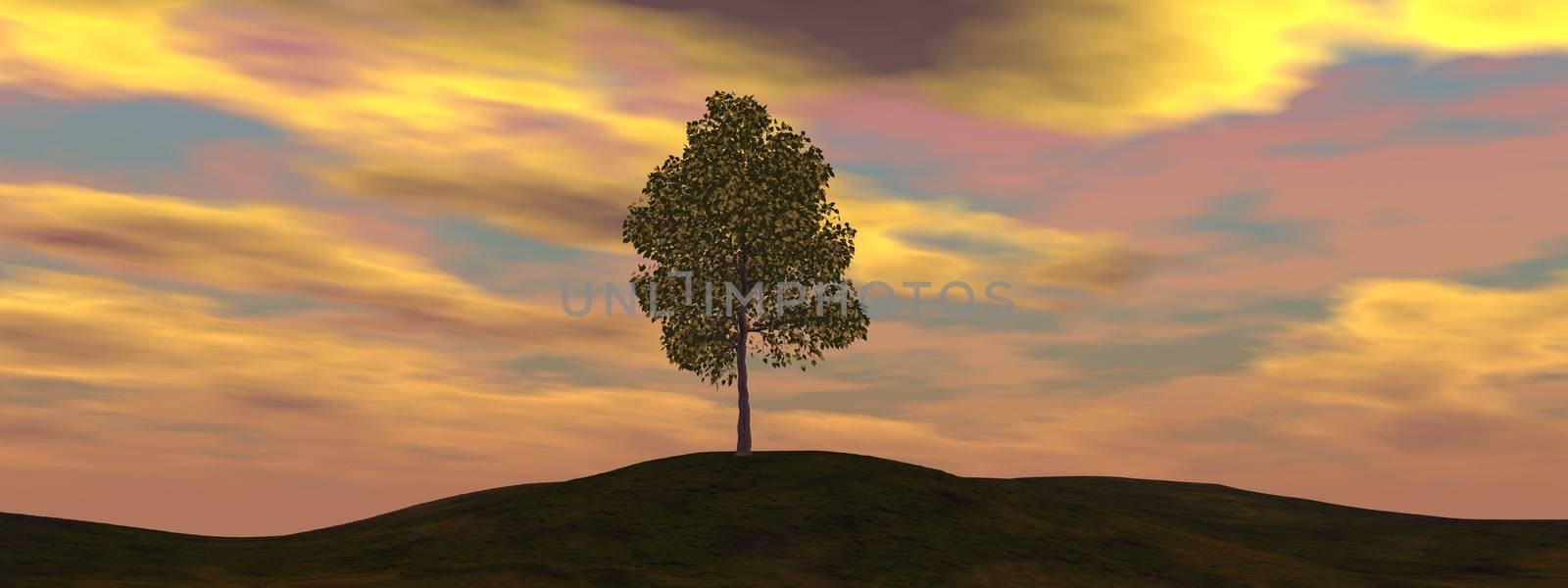 Single tree by beautiful sunset - 3D render