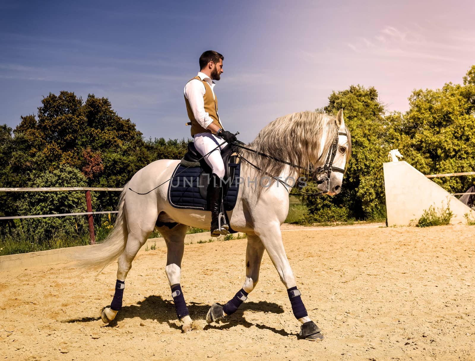 riding man on stallion by cynoclub