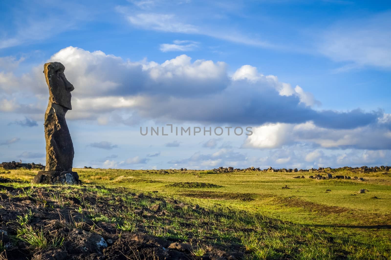 Moai statue, ahu akapu, easter island by daboost