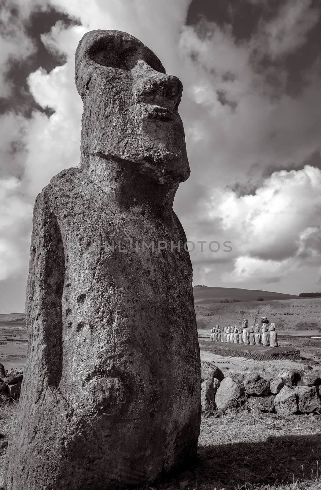 Moai statue, ahu Tongariki, easter island. Black and white pictu by daboost