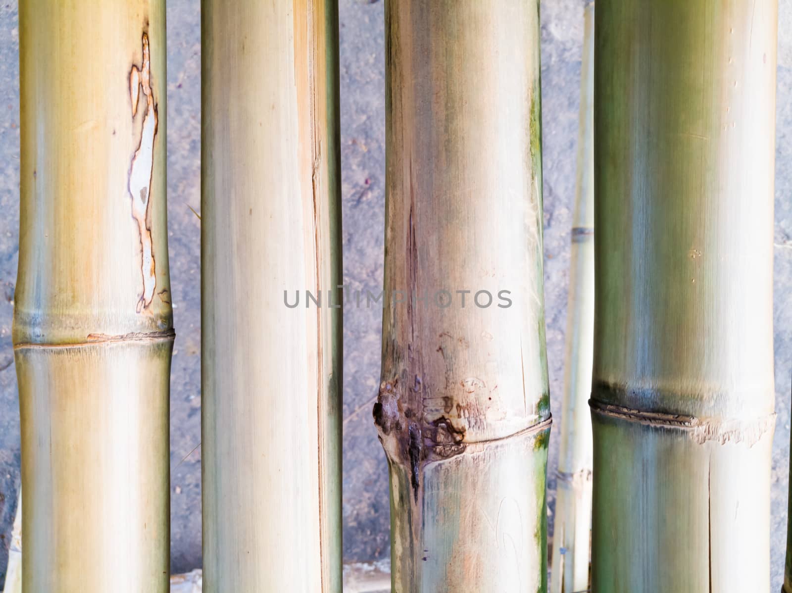 Vertical bamboo wall for background