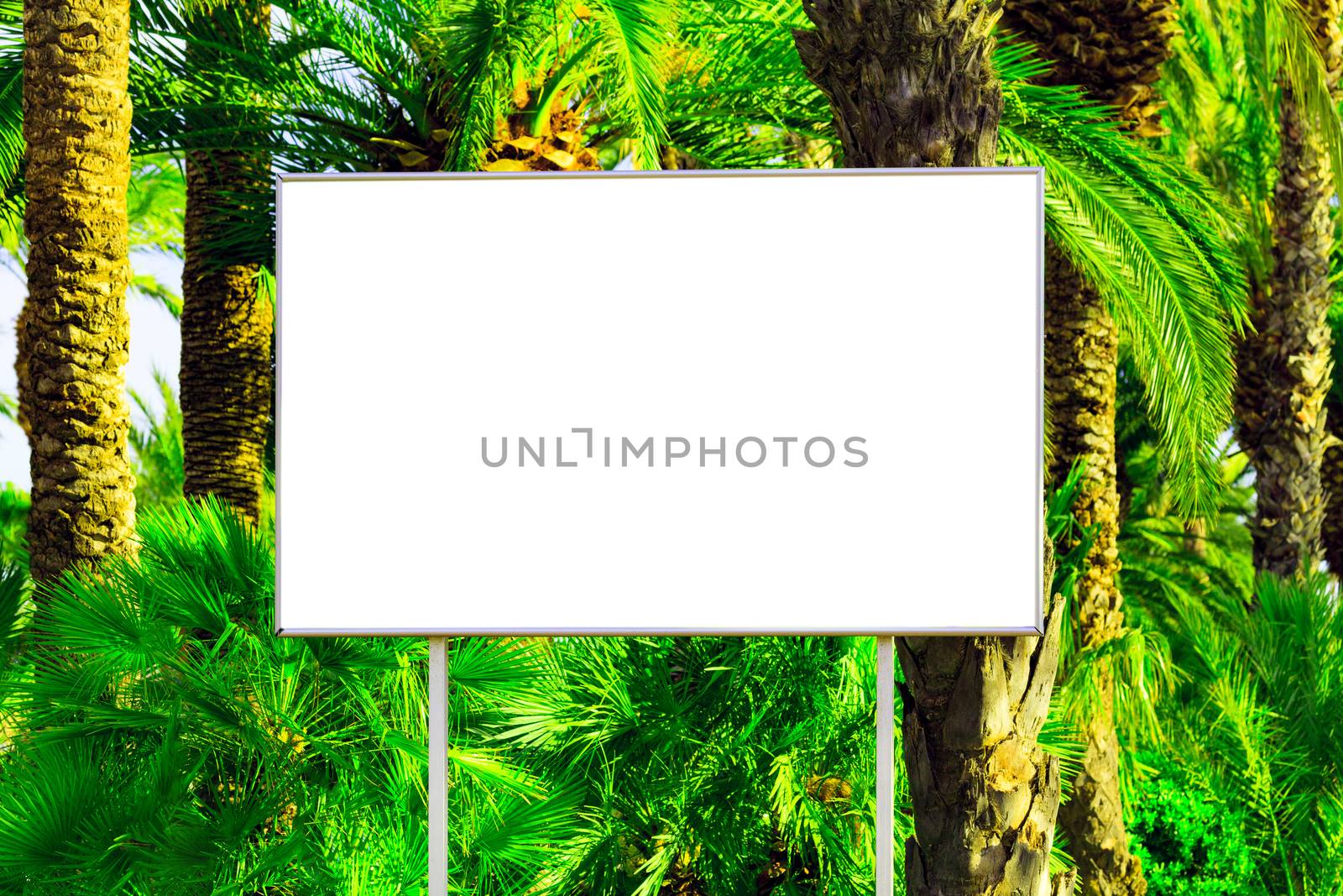 Blank billboard with a space for your information, tropical para by Nobilior