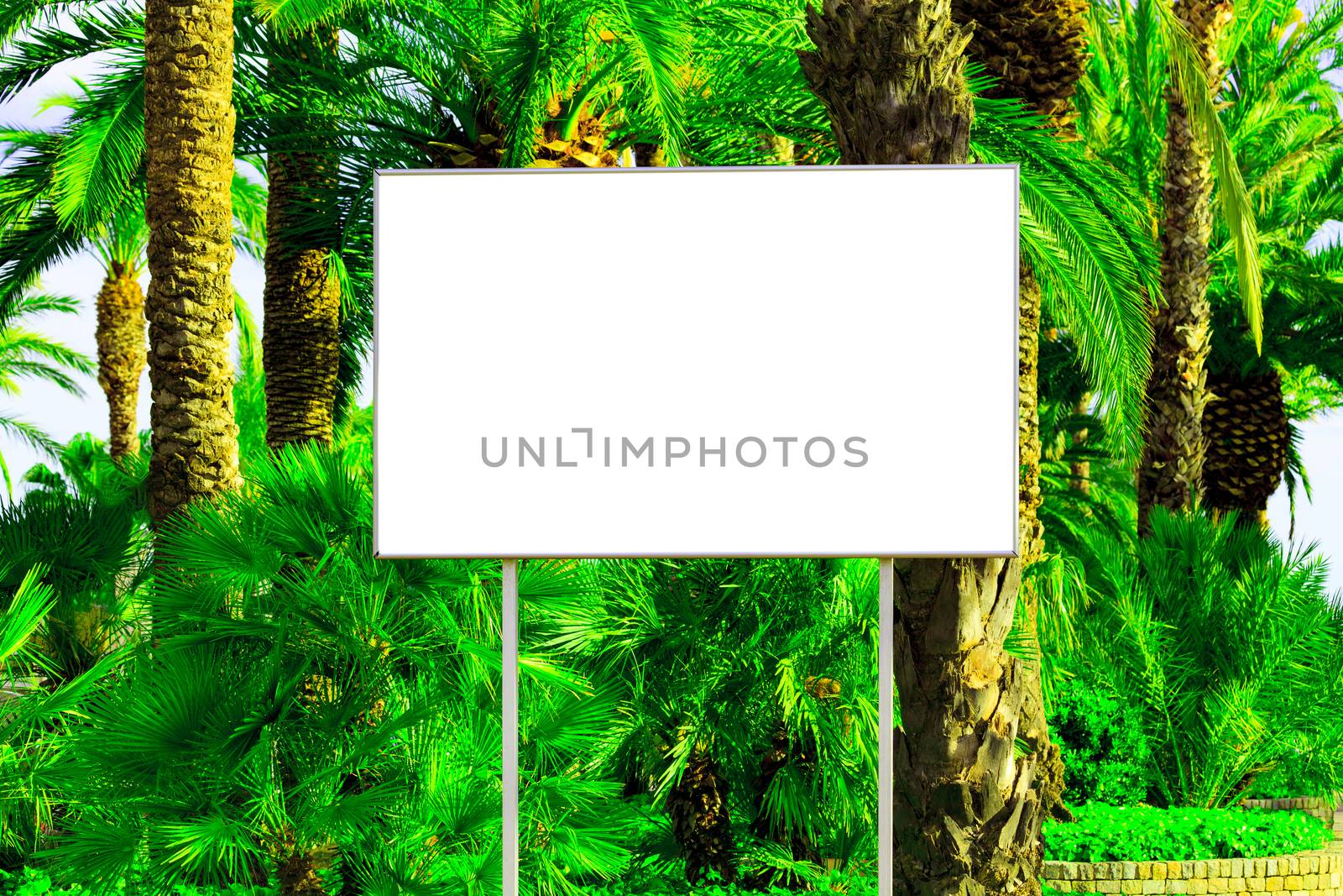 Blank billboard with a space for your information, tropical para by Nobilior