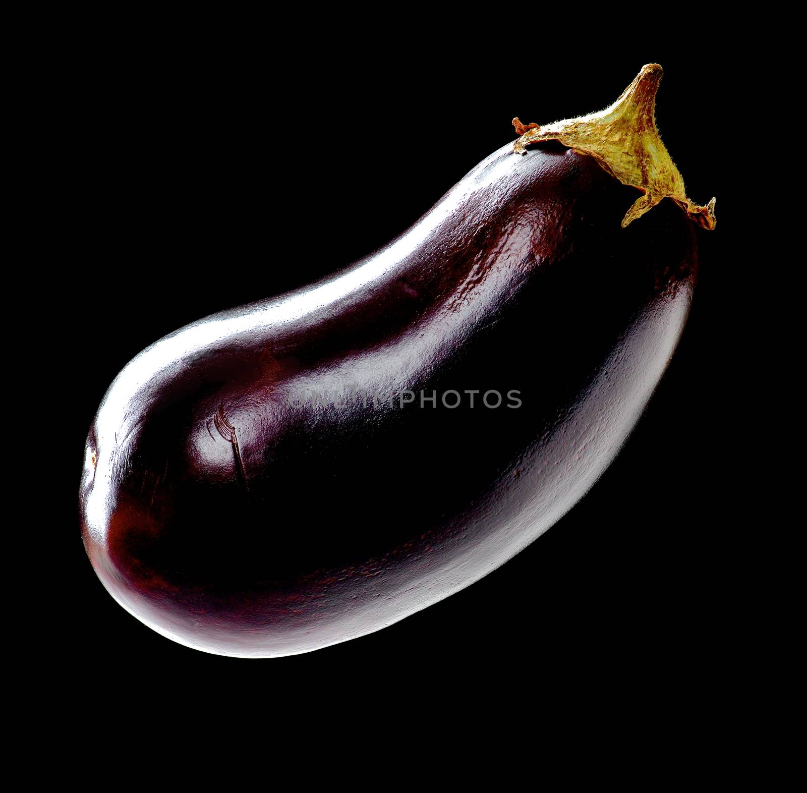 Perfect Raw Eggplant in Shadow Hanging isolated on Black background