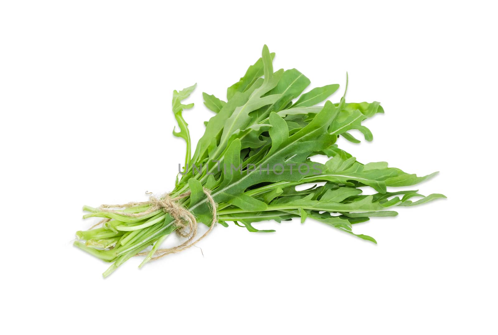 Bundle of the fresh green leaves of the arugula tied with twine on a light background
