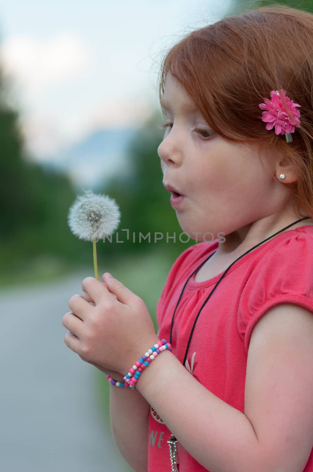 Red hair child blows on a flower by easyclickshop