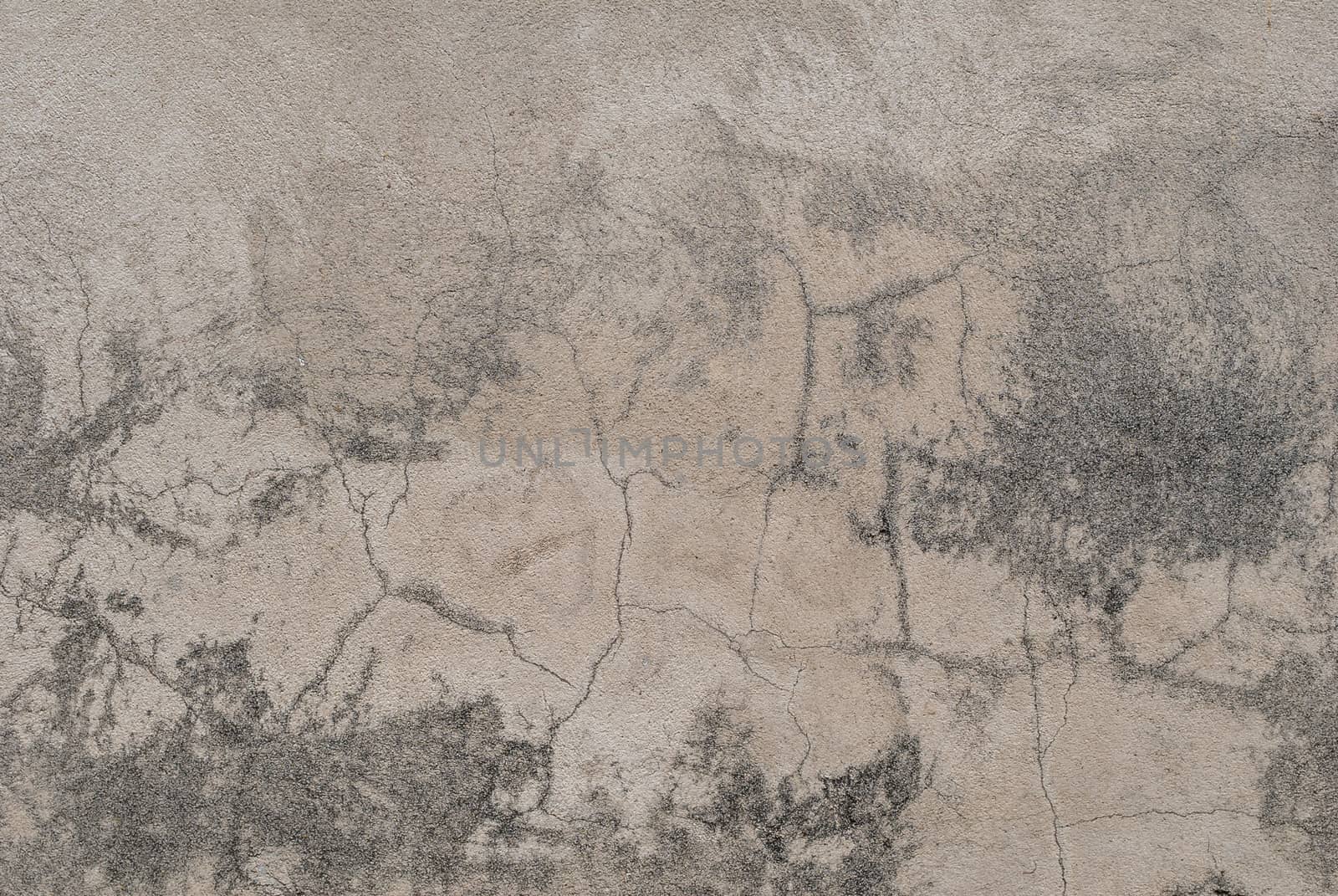 cracks in old plaster wall, chipped paint, landscape style, gray background, texture by uvisni