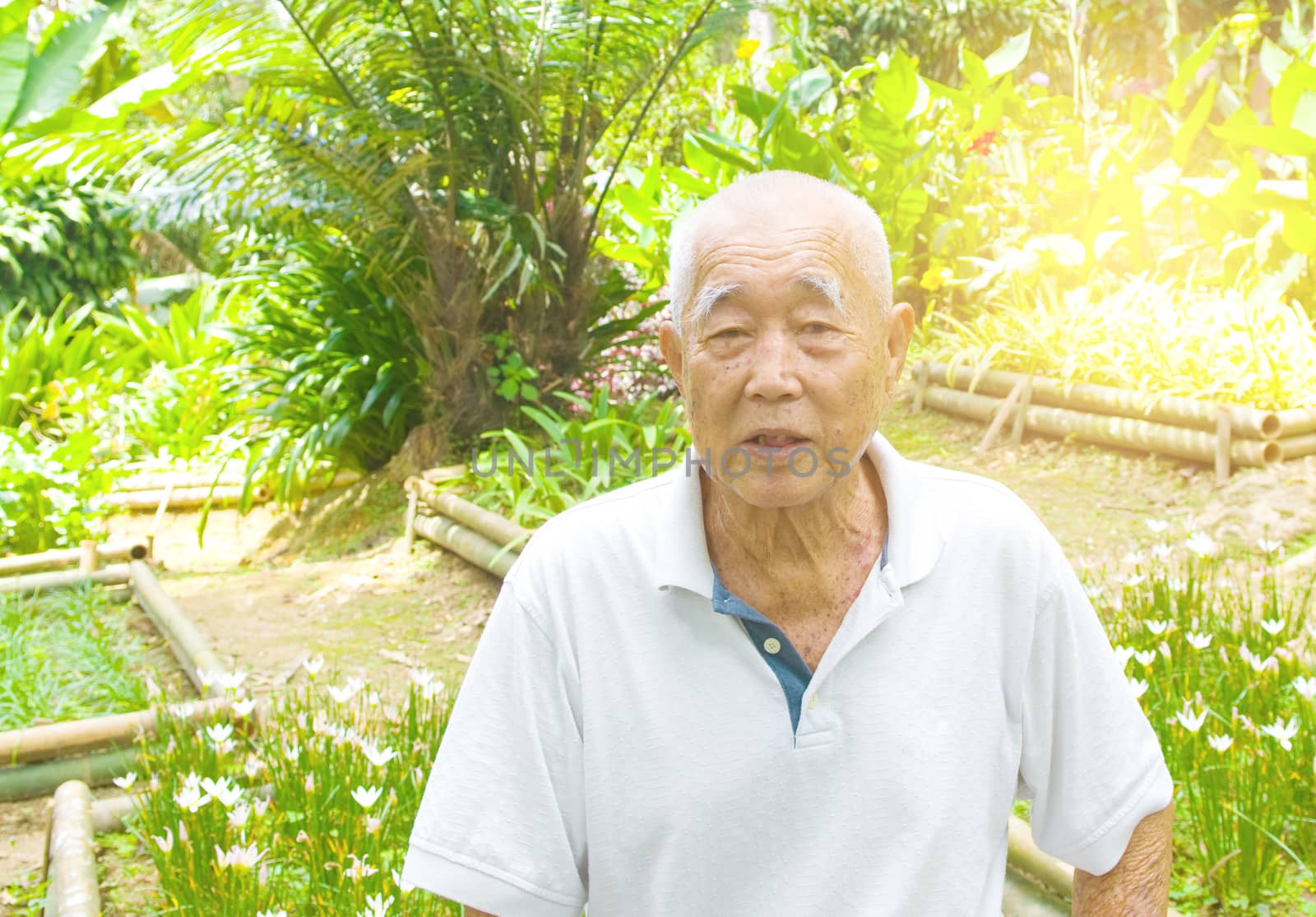 Portrait of a smiling asian senior man