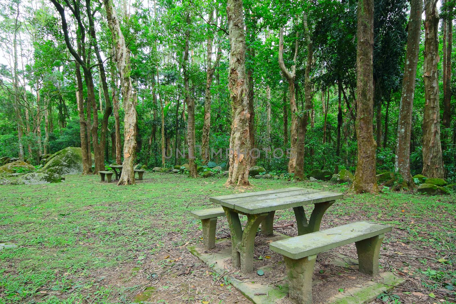 Picnic place in forest