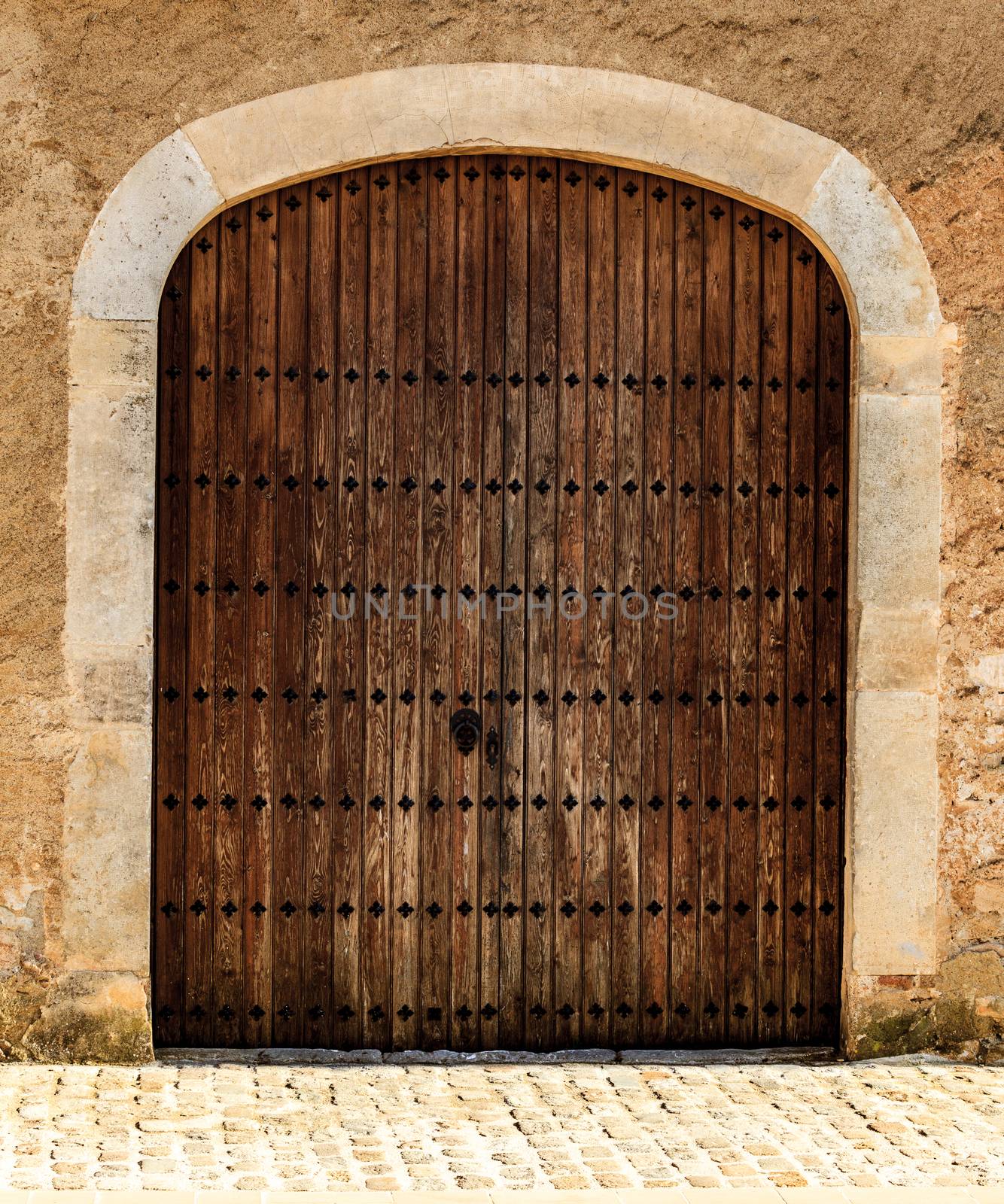 Old gates of medieval building by Nobilior