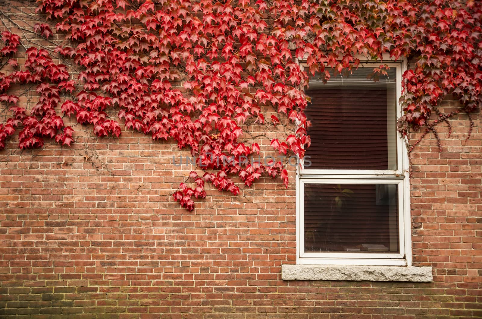 Old red brick wall with wooden window in New England, USA.