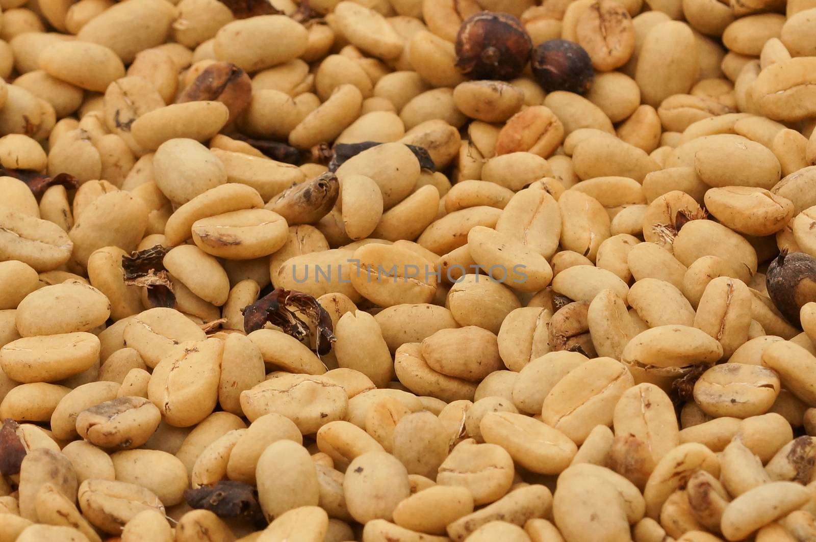 Drying of coffee beans, Sao Tome and Principe, Africa