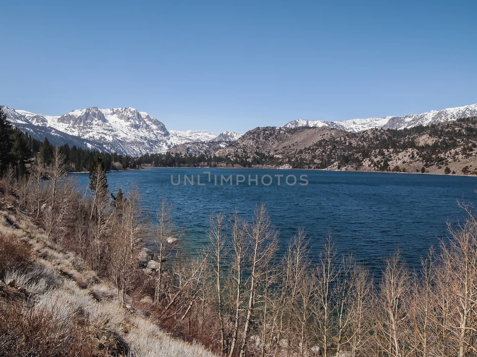 Beautiful lake, snow mountain and pine tree with blue sky in California, USA