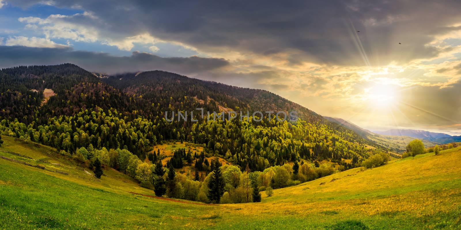 meadow with trees in mountains at sunset by Pellinni