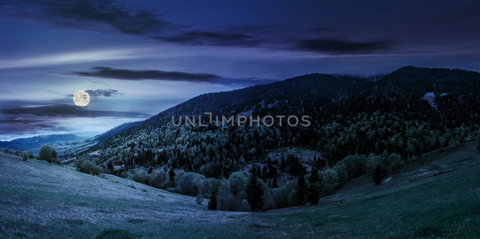 meadow with trees in mountains at night by Pellinni