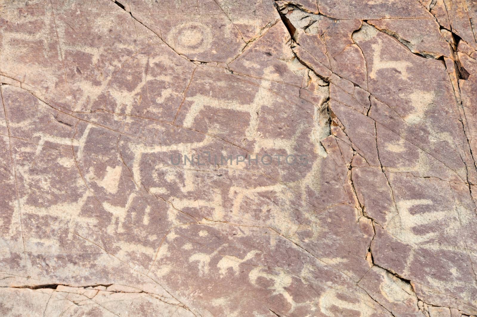 The petroglyphs of El Pintado on Quebrada de Humahuaca, Argentina