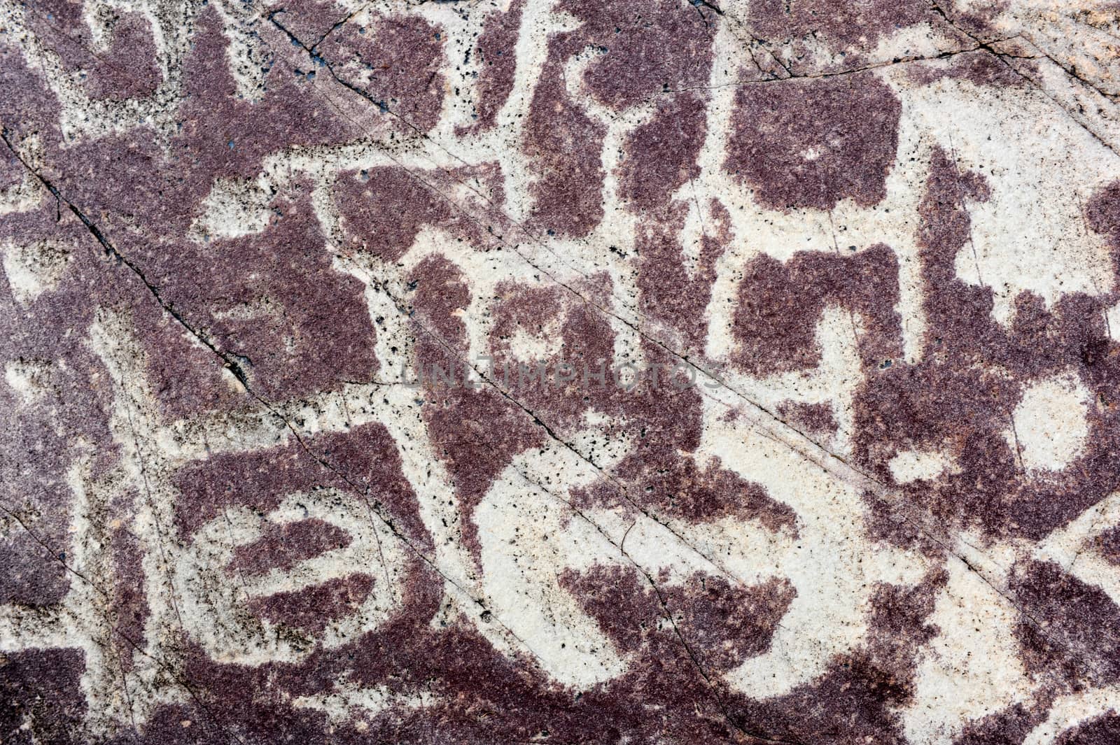 The petroglyphs of El Pintado on Quebrada de Humahuaca, Argentina