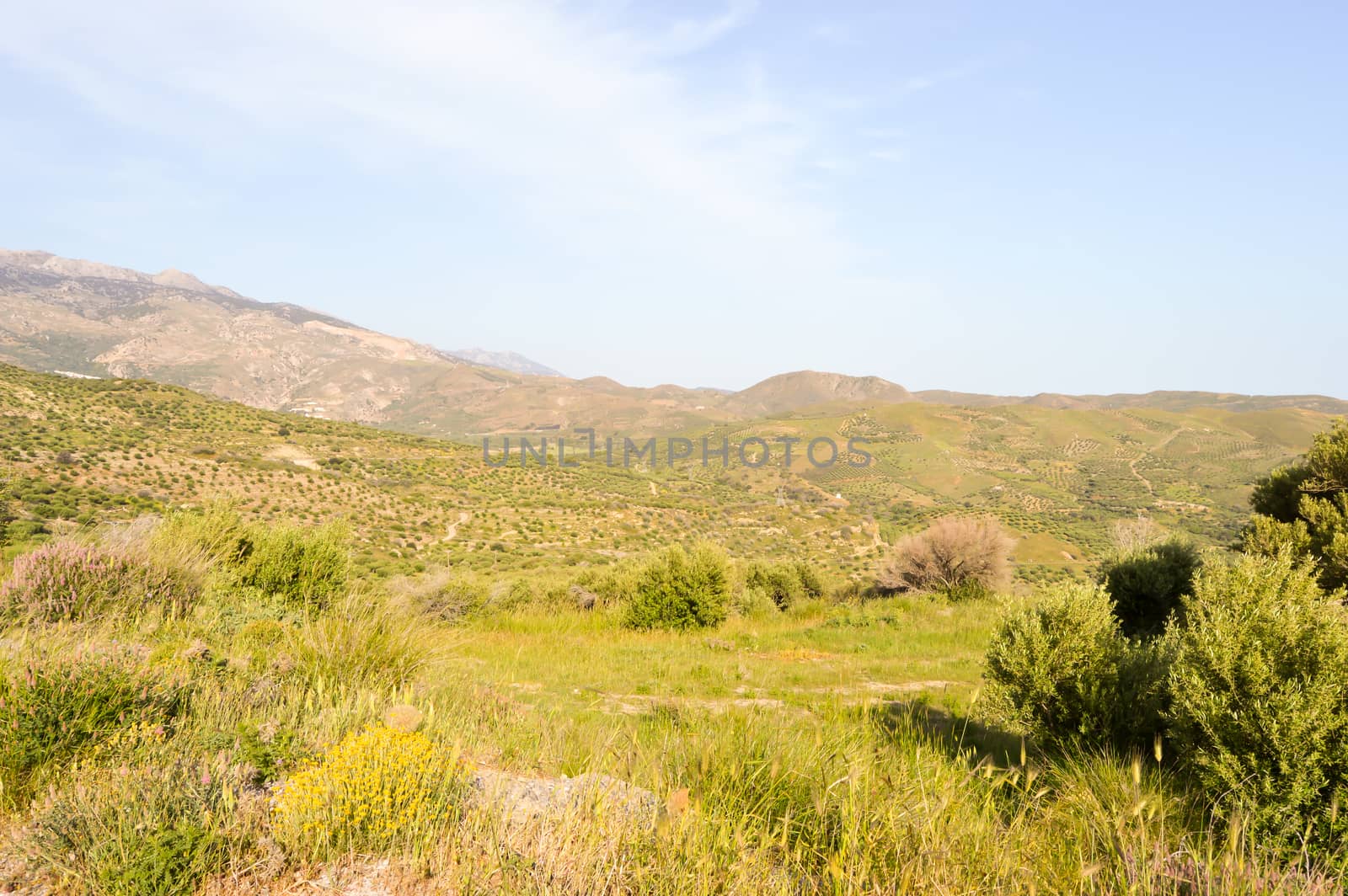 View of the green countryside of the island of Crete in Greece