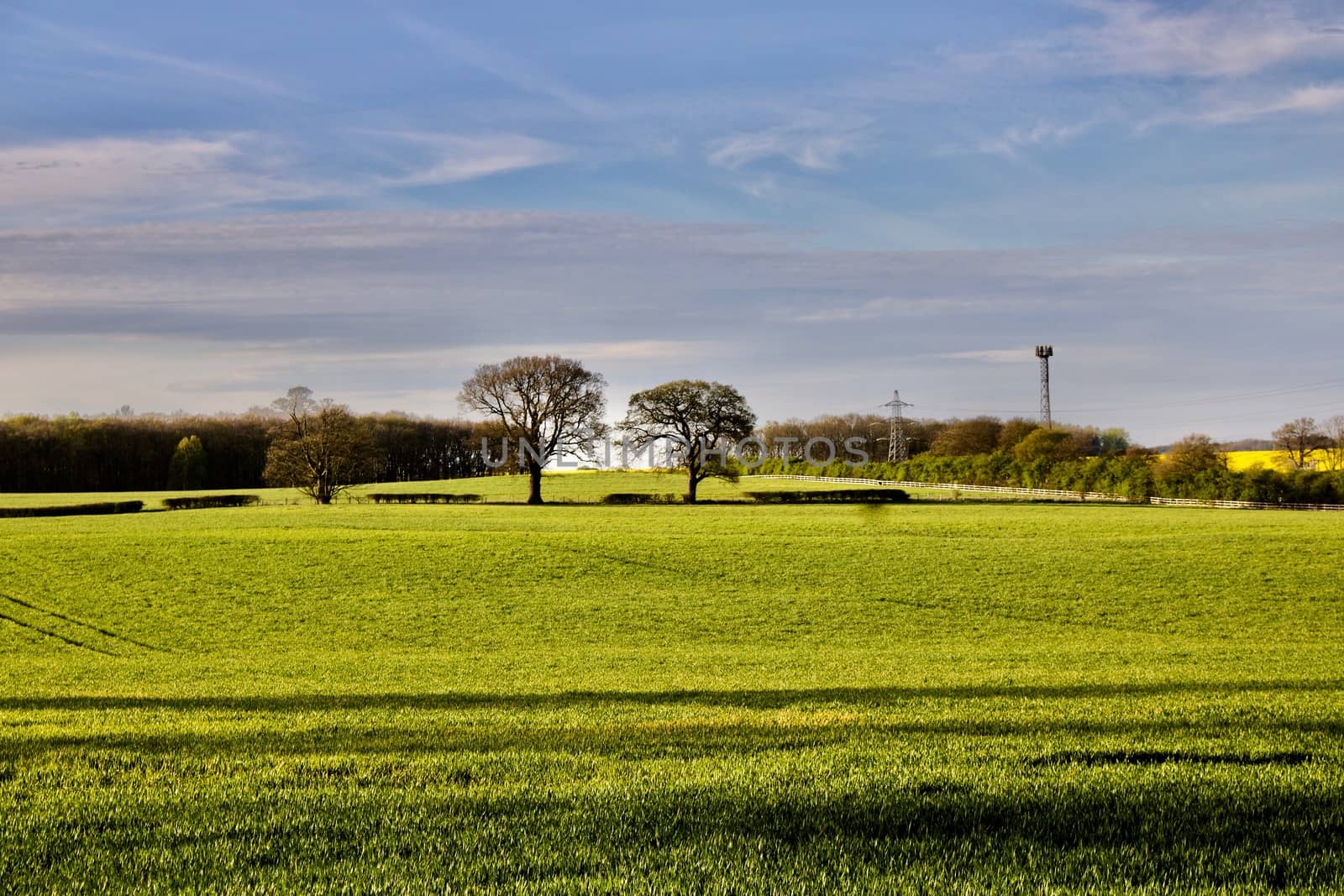 Landscape view in Bedfordshire Area