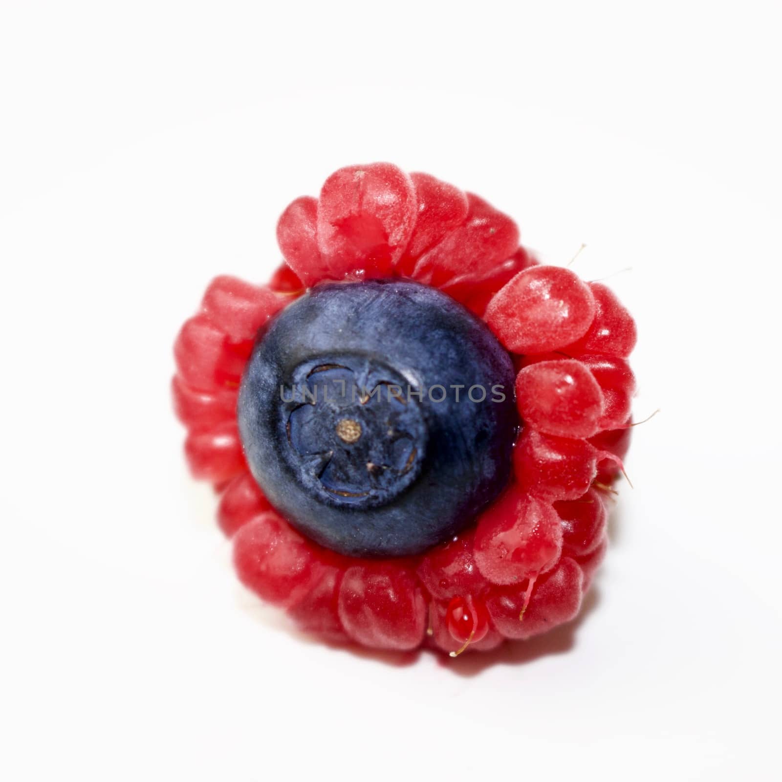 Funny berries fresh frutis