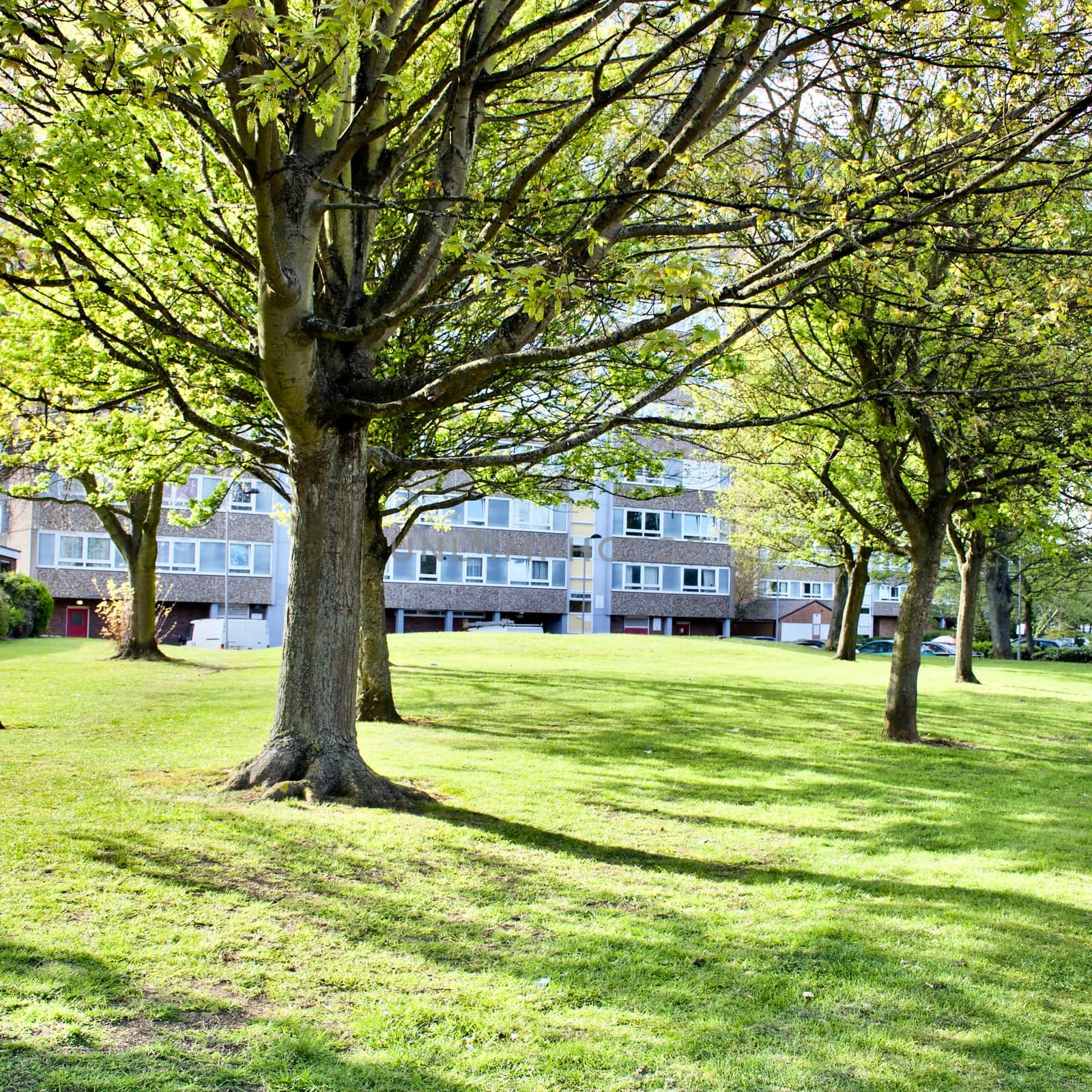 Public park in Bedfordshire Area