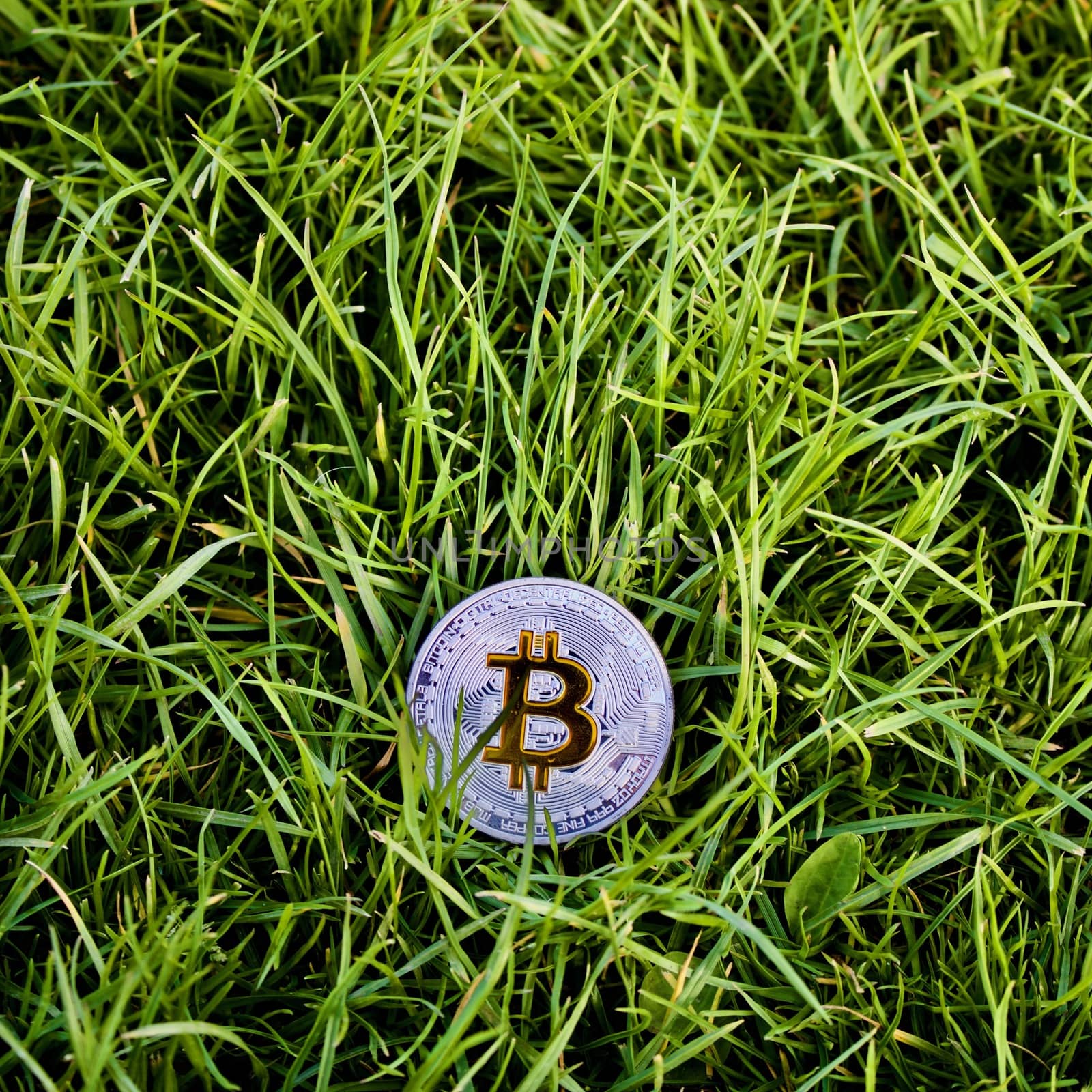 Digital currency physical silver bitcoin in grass.