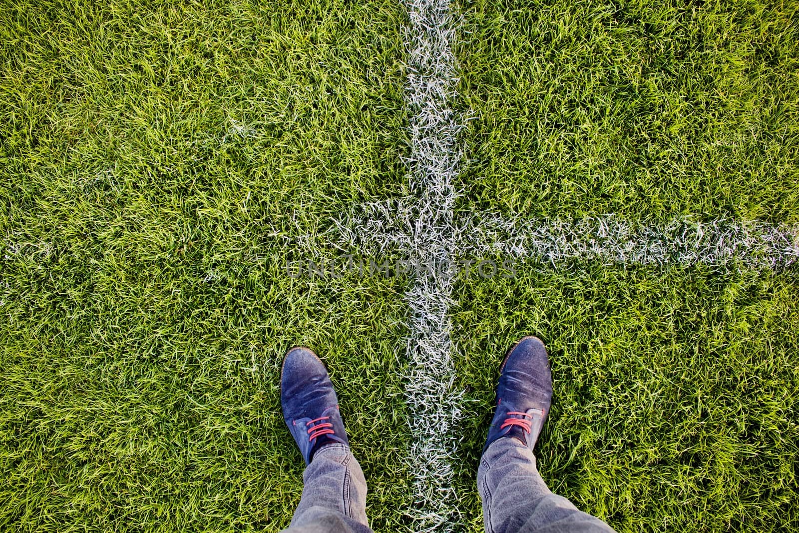 Legs between white lines on the grass