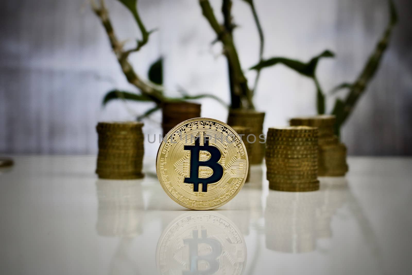 Cryptocurrency physical gold bitcoin coin with blue sign concept
