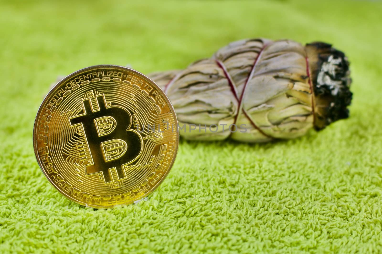Cryptocurrency gold bitcoin coin and white salvia dry plant.