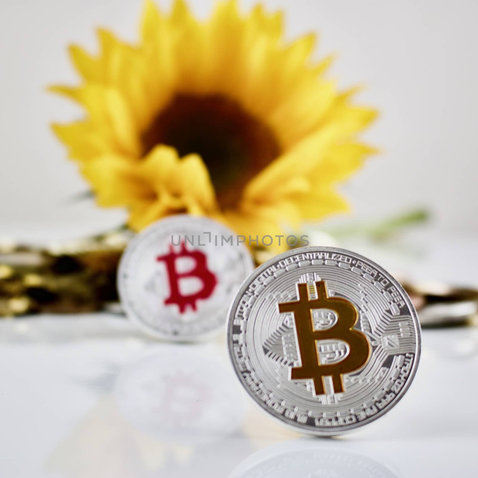 Digital currency physical silver bitcoin coin and yellow sunflower
