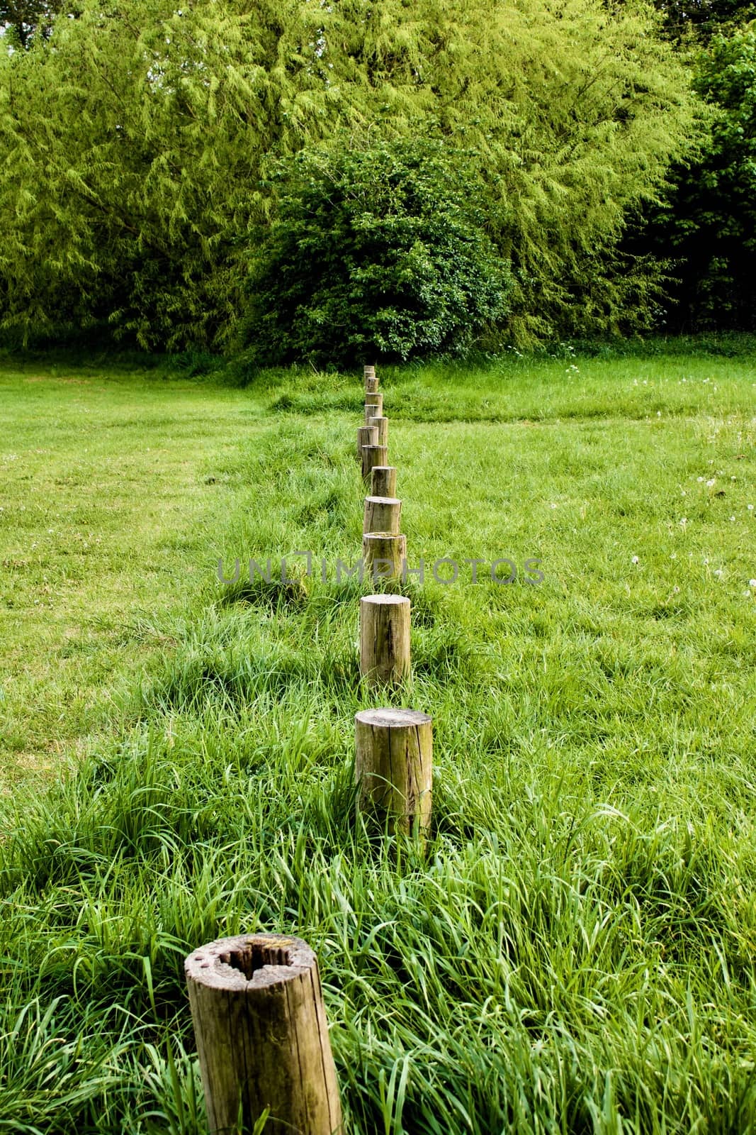 Wooden border on the grass in Bedfordshire Area