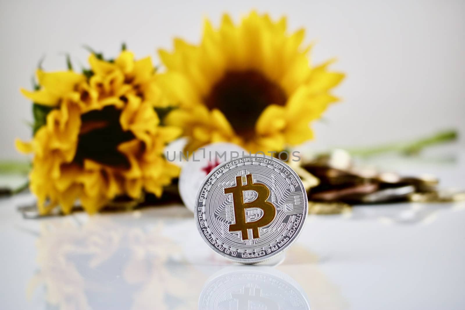 Physical cryptocurrency bitcoin silver coin and sunflowers